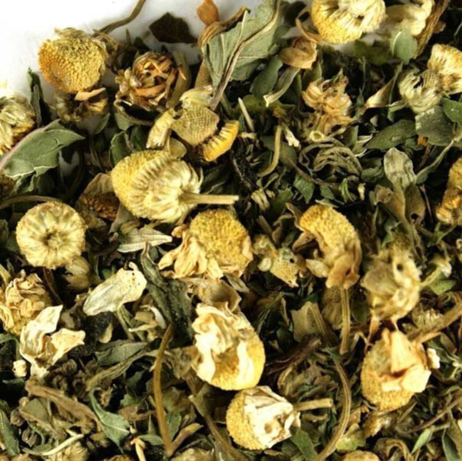 Blue Mallow Leaf - Walmart.com