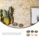 thumbnail image 2 of 6 piezas de decoración de erizos de mar para macetas de plantas aéreas, decoración de mesa con erizos de mar, decoración para peceras, 2 of 8