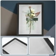 thumbnail image 4 of Storage Photo Frame Decorations Specimen Box The Weddin Picture Frames 16x20 Butterflies Case Pcs, 4 of 6