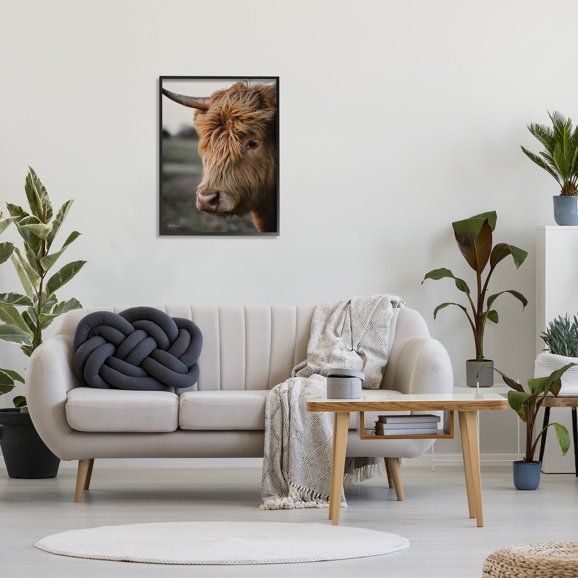 Stupell Industries Cattle Gazing Portrait Animals & Insects Photography Black Framed Art Print Wall Art, 24 x 30