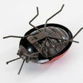 thumbnail image 3 of Bits and Pieces Garden Ladybug Red Metal Sculpture, 3 of 5