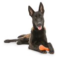 thumbnail image 5 of CHUANK Zogoflex Hurley Large 8.25” Dog Toy Aqua, 5 of 5