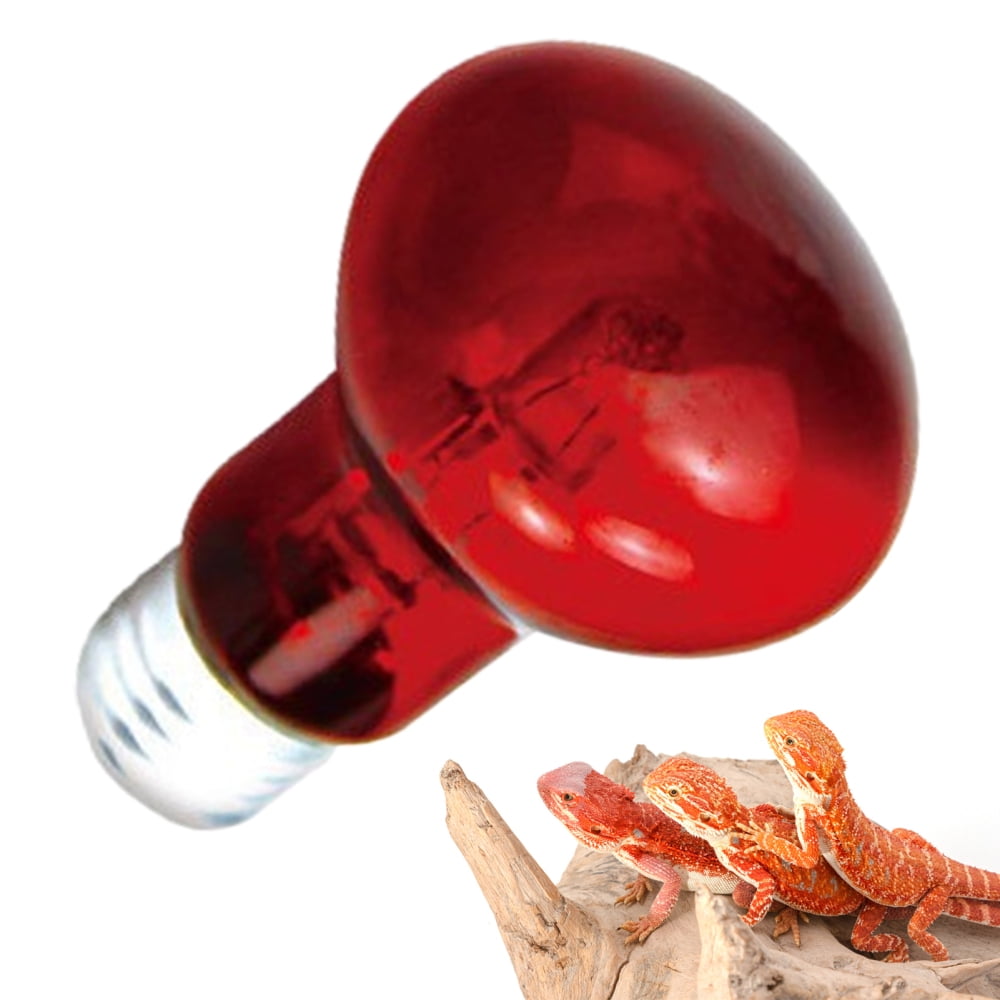 Reptile Night Heating Light Well Made Basking Light Bulb for Spider Snake Chameleon Red Light