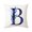 B, variant on Throw Pillow Covers Alphabet Decorative Pillow Cases ABC Letter Flowers Cushion Covers 18 x 18 Inch Square Pillow Protectors for Sofa Couch Bedroom Car Chair Home Decor