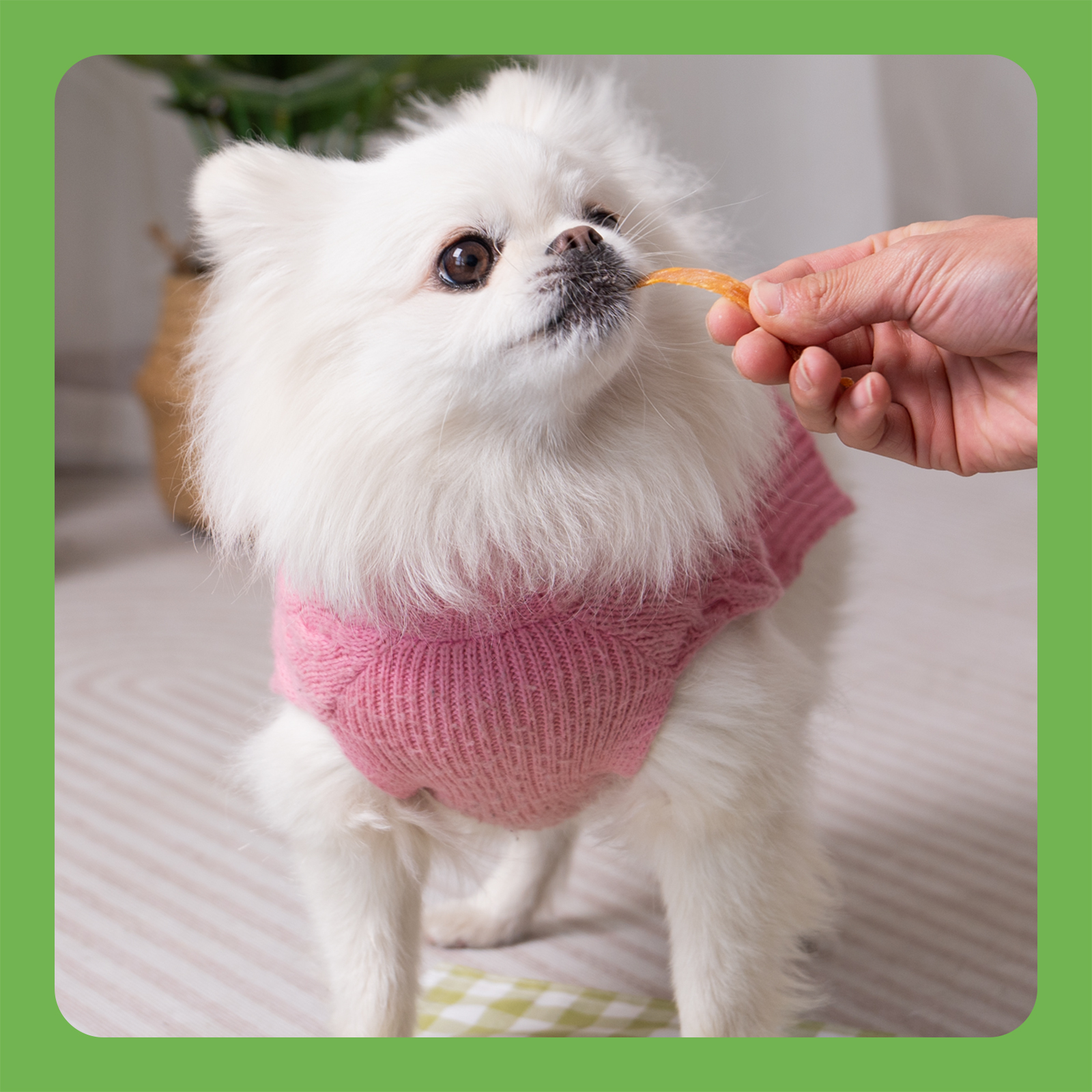 MON2SUN Chicken Jerky Strips Small Dog Treats, 17.6 oz