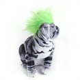 thumbnail image 2 of Xihbxyly Babero de Halloween para Mascotas, Toalla de Saliva para Perros a La Moda, Diseño de Peluca, Tela Suave y Cómoda, Cuello Ajustable, Apto para Gatos y Perros Pequeños, Accesorio para Fotos, F, 2 of 3