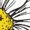 White2, variant on Cozymy Women's Night Garden Sunflower Tee Yellow Butterfly Short Sleeve Crewneck Casual T-Shirt S-5XL