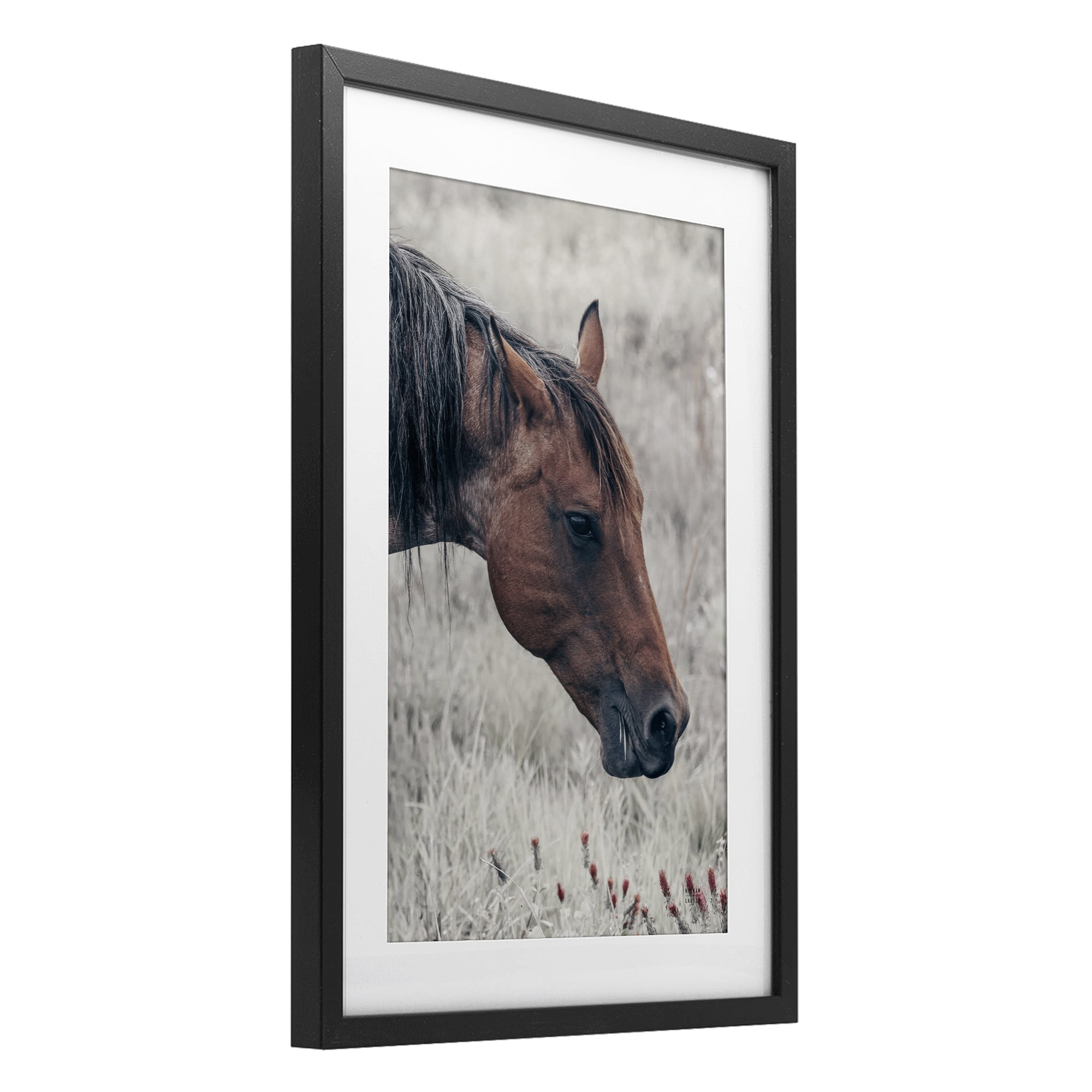 Stupell Industries Mother Horse Grazing in Meadow Black Framed Print Under Glass, design by Nathan Larson