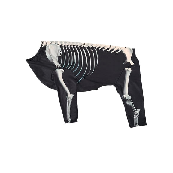 Halloween Pet Dog Skeleton Costume, Full Body Skeleton Bones Printed Four-Leg Jumpsuit Clothes Accessories for Medium Large Dogs Cosplay Photos Black XL