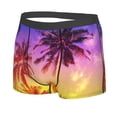 thumbnail image 2 of Wukai Palm Trees at Sunset Print Men’s Underwear Breathable Boxer Briefs,&nbsp;Moisture Wicking & Breathable-Large, 2 of 7