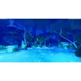 thumbnail image 5 of The Smurfs 2: Prisoner of the Green Stone, PlayStation 4, 5 of 6
