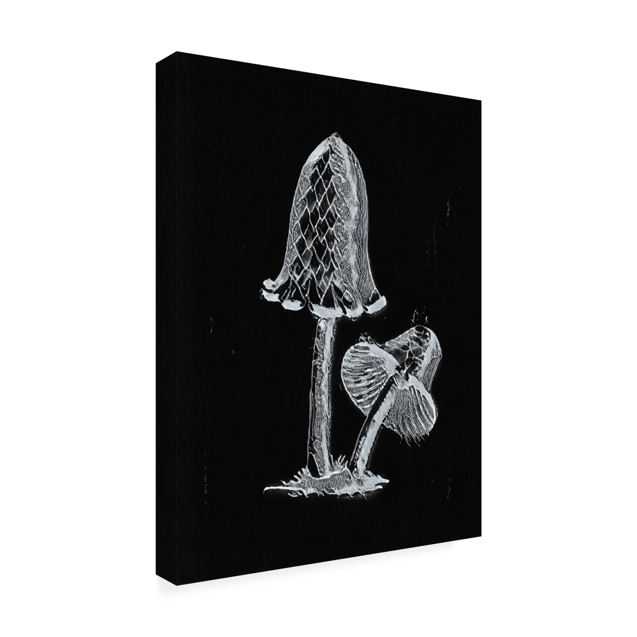 Trademark Fine Art Pictufy Vintage Inky Cap Edible Mushroom Dark BW Canvas Wall Art