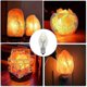 thumbnail image 3 of 10Pcs E12 C7 10W 220-240V Warm White Tungsten Filament Candle Light Bulbs, 3 of 5