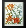 thumbnail image 2 of De Chazelles, Laurent 20x24 Black Modern Framed Museum Art Print Titled - Lilium Bulbiferum, 2 of 5