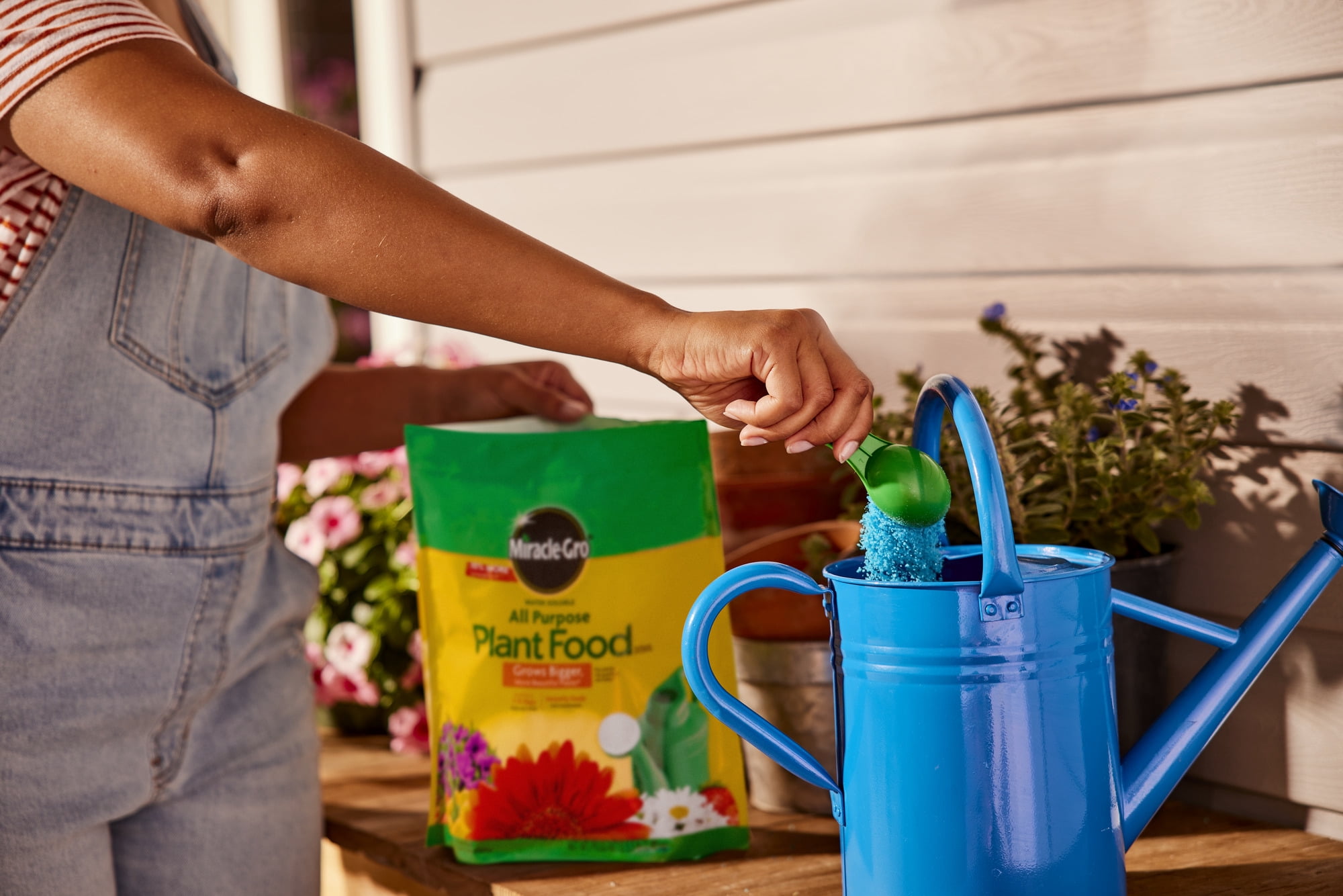 Miracle-Gro Water Soluble All Purpose Plant Food, 5.5 lb.