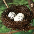 thumbnail image 4 of OULII 50Ud Huevos Decorativos Artificiales Para Pascua Hechos De Espuma Resistente Y Textura, 4 of 6