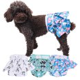 thumbnail image 5 of Dog Physiological Pants - Cartoon Panda Print, Breathable - Adjustable Fastener Tape, Leakproof - Pet Diaper Shorts, Panties Underwear, 5 of 8