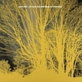 thumbnail image 1 of The Stars Are Indifferent to Astronomy, 1 of 1