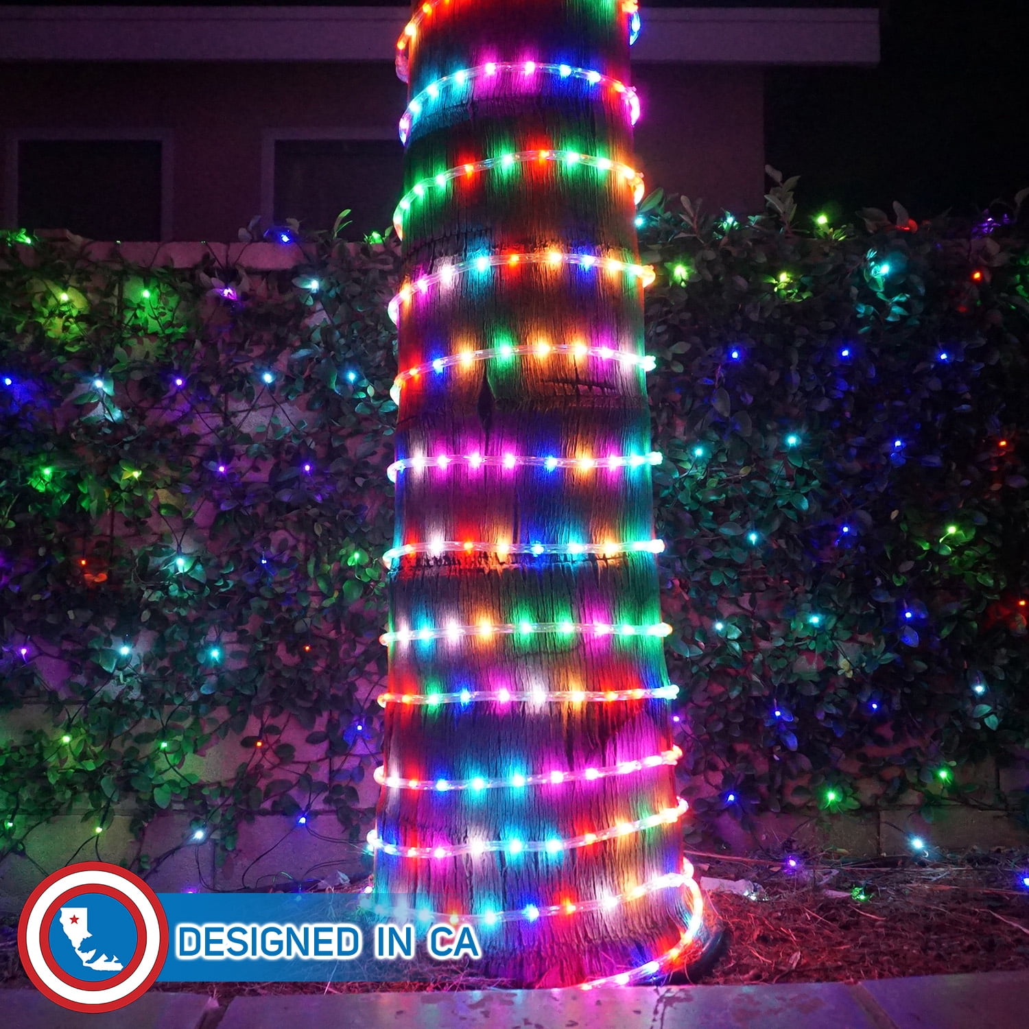 Russell Décor LED Rope Lights RGB Color Changing Lamps, String Strip Fairy Lights Waterproof Flexible Party Wedding Christmas Decoration(30Feet)