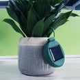 thumbnail image 2 of LED Solar Garden Lights Solar Flower Light Pot Decorative Light Waterproof Green Plant Lamp For Garden Pathway Indoor Outdoor, 2 of 8