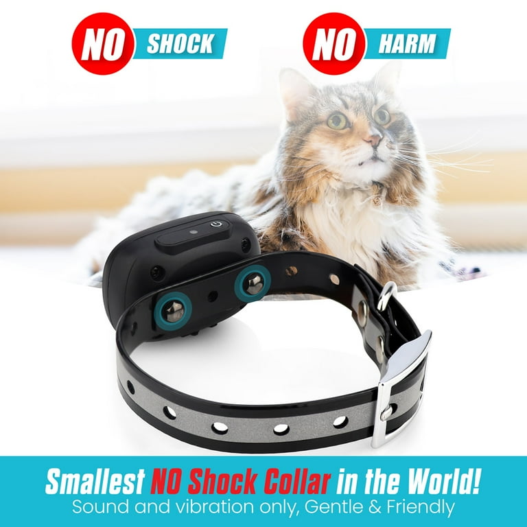 Cat Collar Adult