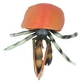 PAOMIAN Simulation Hermit Crab Model Lifelike Sea Life Animals