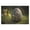 300, variant on Puzzles for Adults 500 Pieces - Easter Egg Outdoors Best Challenging Puzzles for Cognitive Workout - Safe Eco-Friendly - Most Popular Leisure Activities