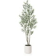 thumbnail image 2 of DR.Planzen Artificial Tree, 6 ft Indoor Multi-Trunk Olive tree, Perfect for Home, Office Decor, 2 of 9