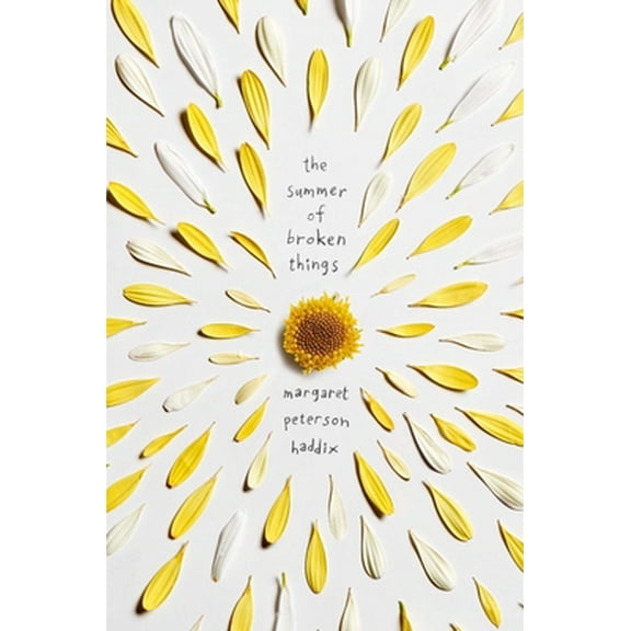 Pre-Owned The Summer of Broken Things (Hardcover) 1481417649 9781481417648