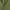 Military Green, variant on Men's Valhalla Shirt Sons Of Odin T-Shirt Viking Warrior Shirt Norse Nordic Gift Tees