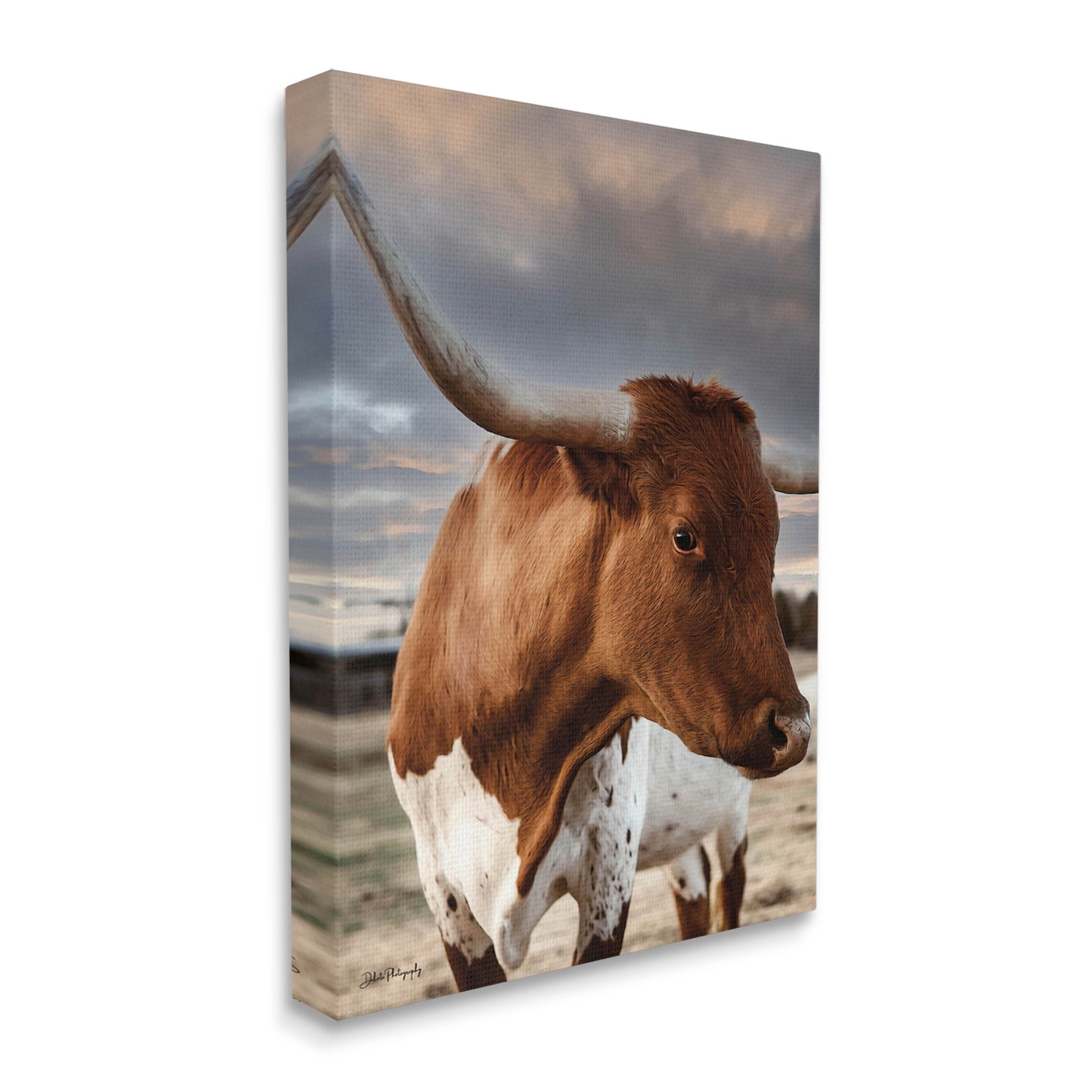 Stupell Industries Rural Farm Cattle Cloudy Ranch Sky Photograph Gallery Wrapped Canvas Print Wall Art, Design by Dakota Diener