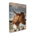 thumbnail image 3 of Stupell Industries Rural Farm Cattle Cloudy Ranch Sky Photograph Gallery Wrapped Canvas Print Wall Art, Design by Dakota Diener, 3 of 7