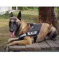 thumbnail image 3 of Pechera K9 Tactica Reflejante Personalizada Pastor Belga, 3 of 8