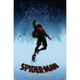 thumbnail image 1 of Marvel Spider-Man - Dans le Spider-Verse - Chute, 1 of 4