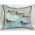 thumbnail image 4 of Sandpipers Large Indoor/Outdoor Pillow 18x18, 4 of 4