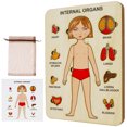 thumbnail image 2 of Muyoka Rompecabezas de madera del cuerpo humano para niños Juego educativo temprano de anatomía humana para aprender partes del cuerpo Órganos Rompecabezas de anatomía corporal Rompecabezas sensorial Muyoka Hogar, 2 of 7