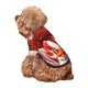 thumbnail image 5 of Fotbe Red Leaf Flame Fox Sudadera con Estampado para Perros Pequeños – Suéter con Capucha para Mascotas, Tela Suave de Forro Polar con Bolsillo-X-Small, 5 of 7