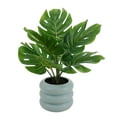 thumbnail image 5 of Mainstays 13.5'' Indoor Artificial Monstera with Bubble Vase, Blue Ceramic Vase, Green Monstera, 5 of 9