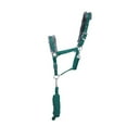 thumbnail image 1 of Hy Active Horse Headcollar and Leadrope, 1 of 1