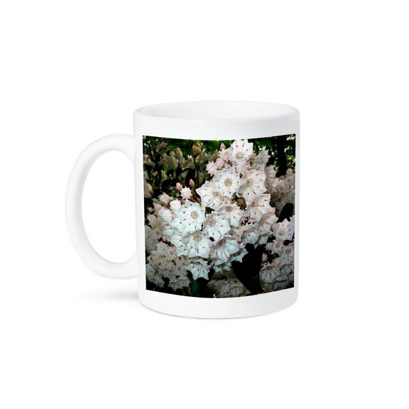 3dRose, Mountain Laurel, 15oz Mug