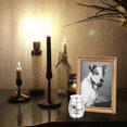 thumbnail image 3 of 1 Piece Stainless Steel Mini Dog Urns Small Keepsake Urns For Pets Cremation Container Memorial Jar For Pet Ashes, 3 of 5