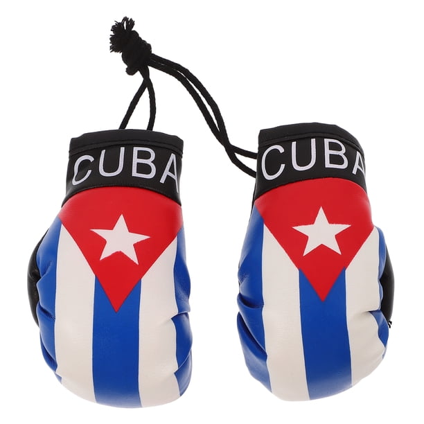 KAKOWELY 2 guantes de boxeo para colgar en el coche, decoración para exteriores.