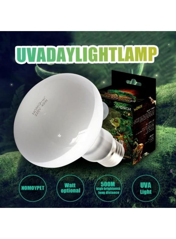 Chick Heat Lamps in Chicken Supplies