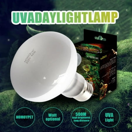 

Heating Lighting – 220 Watts Heat Lamp Bulbs Flood Reflector Light Bulbs – Incandescent Bulb for Heat Lamp Chickens Food Heating (25-100W)