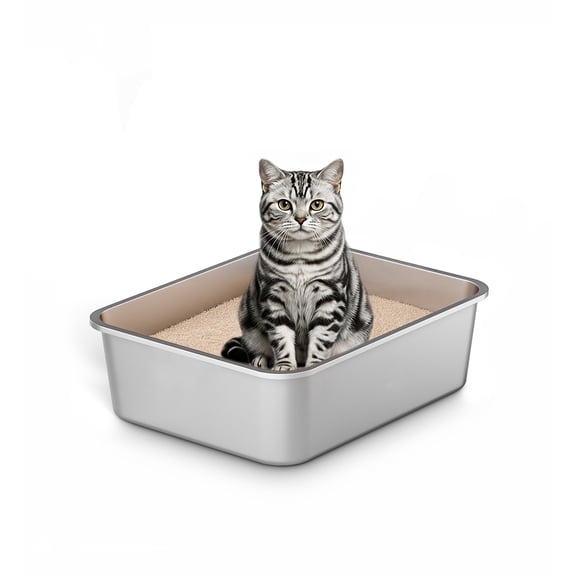 Lazynoon Stainless Steel Litter Box, Metal Cat Litter Box for Multiple Cats, Kitty, Odor Control, Non-Stick, 17" x 13" x 6"