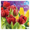 thumbnail image 2 of Cuadros Decorativos Tulipán 5D diamante bordado DIY arte pintura cruz puntada mosaico decoración Ehuebsd embutido en tela, 2 of 8