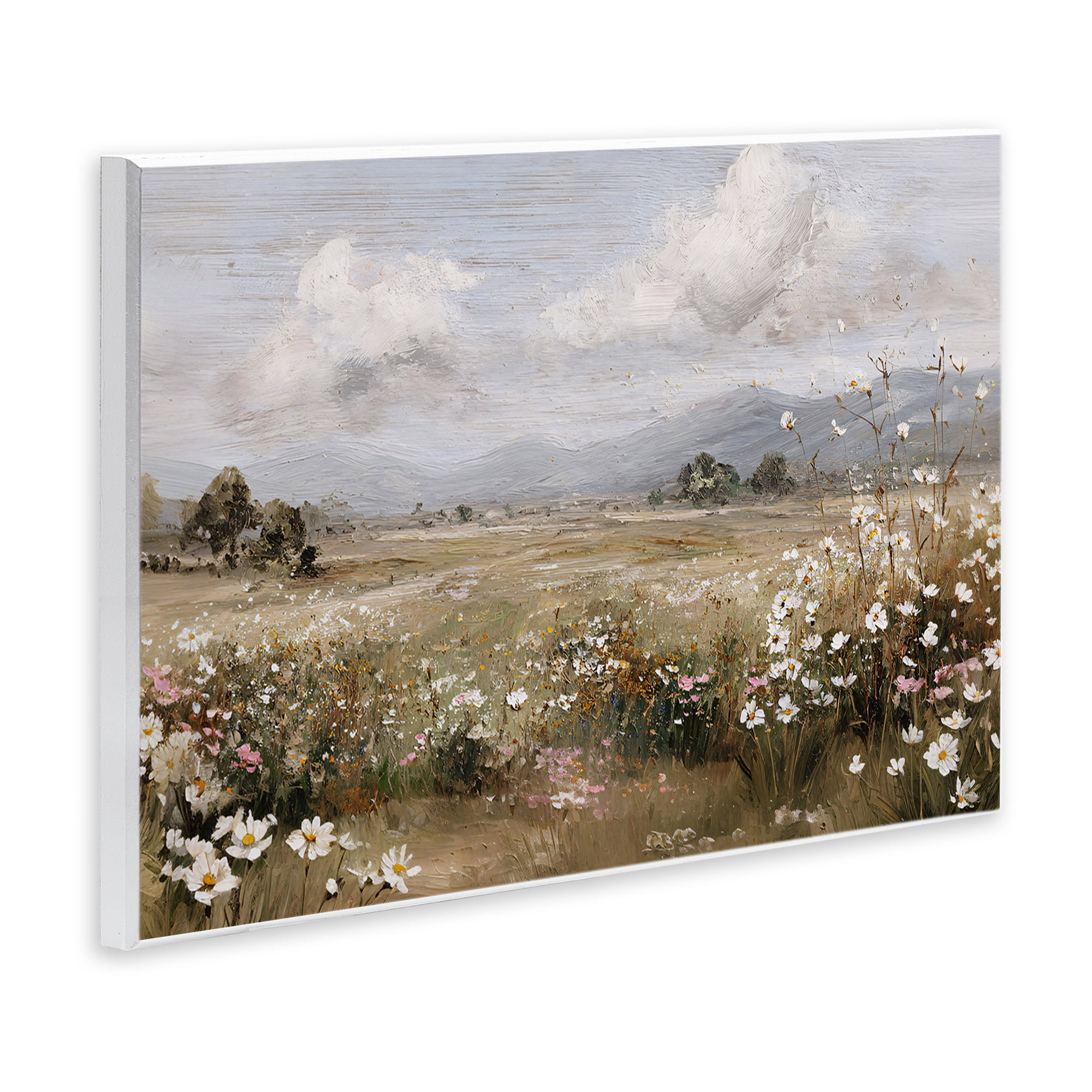 Stupell Industries Daisy Clusters in Field Wall Plaque Art, design by Jacky Ngan