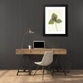 thumbnail image 4 of Mary Vaux Walcott 18x24 Black Modern Framed Museum Art Print Titled - Giant Trillium. Trillium Chloropetalum (1925), 4 of 5