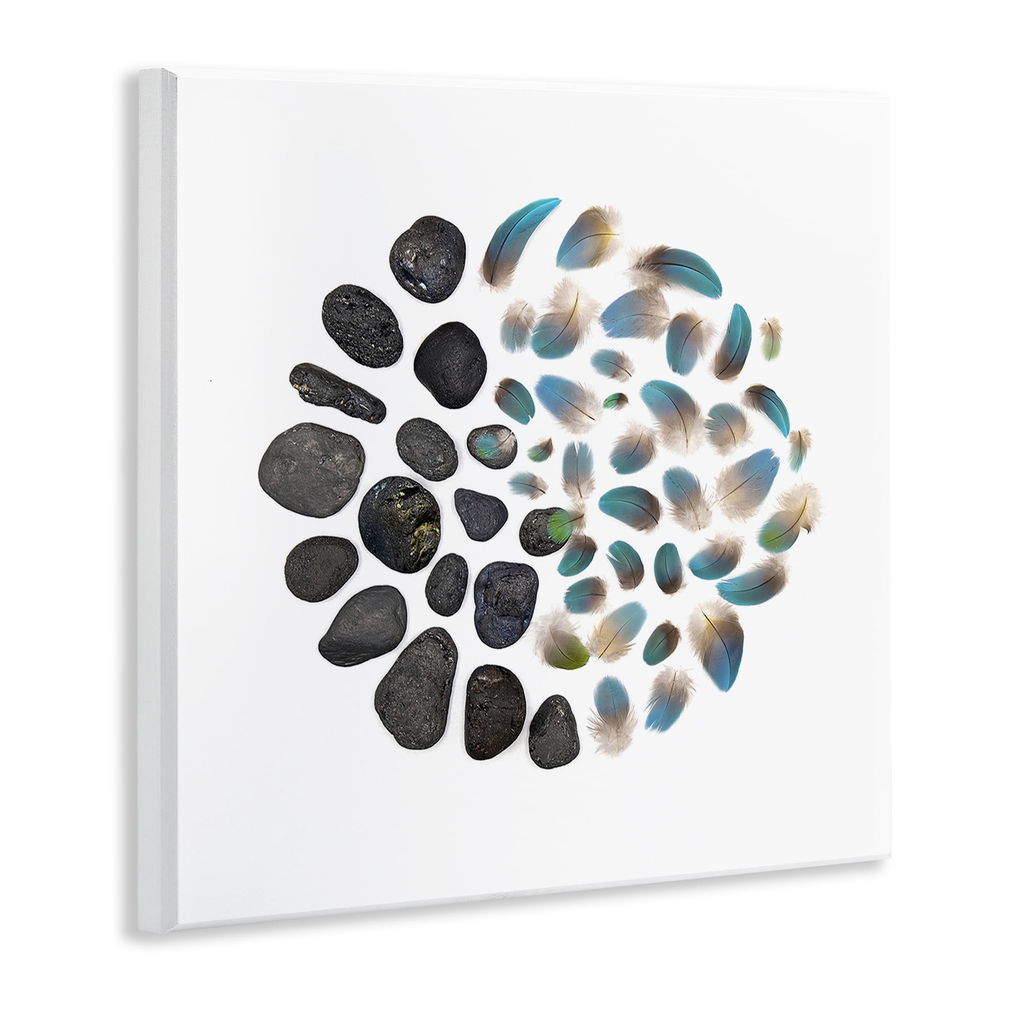 Stupell Industries Feathers & Rocks Collection Wall Plaque Art, design by Beth Adoette