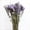 Lavender, variant on Dried Lavender & Statice Flower Bouquets, 100% Natural Dried Flowers for Decoration Home Party - Light Purple, 13.5 in
